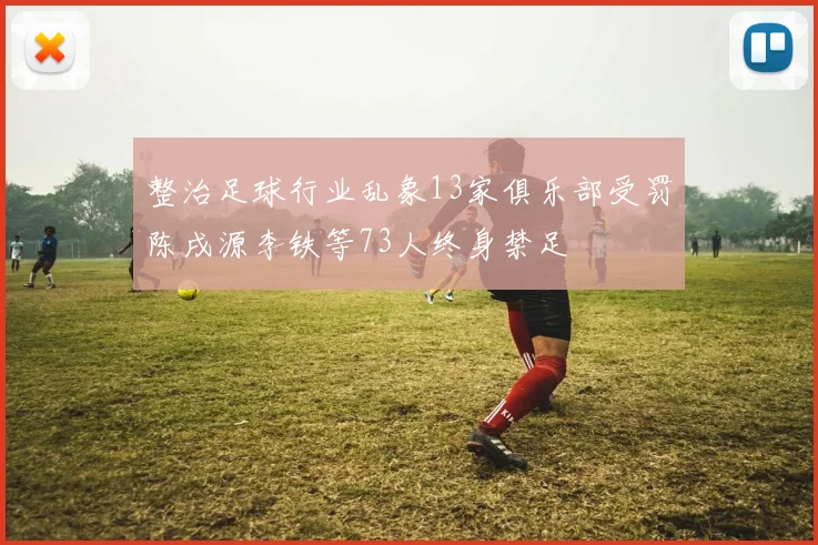 整治足球行业乱象13家俱乐部受罚陈戌源李铁等73人终身禁足