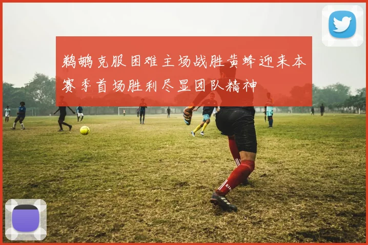 鹈鹕克服困难主场战胜黄蜂迎来本赛季首场胜利尽显团队精神