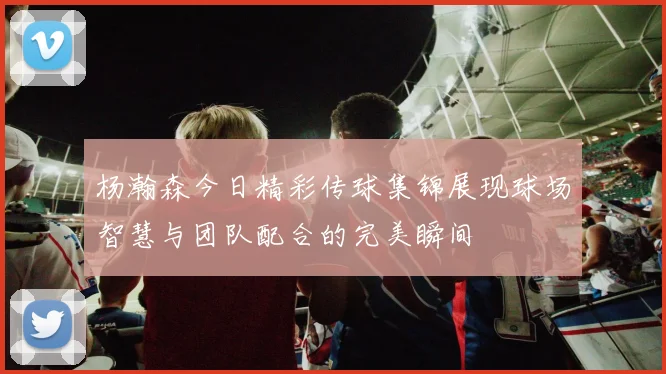 杨瀚森今日精彩传球集锦展现球场智慧与团队配合的完美瞬间