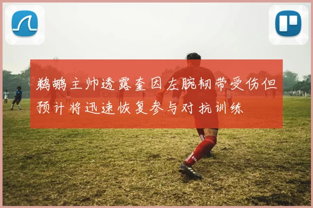 鹈鹕主帅透露奎因左腕韧带受伤但预计将迅速恢复参与对抗训练